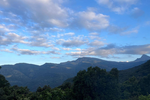 Colombo To Maskeliya & Waterfalls Day Trip