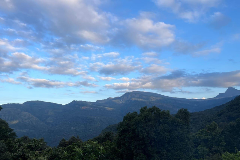 Colombo To Maskeliya & Waterfalls Day Trip