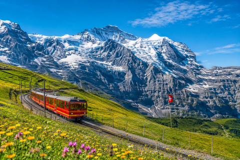 From Zurich: Luxury Interlaken & Jungfrau Experience