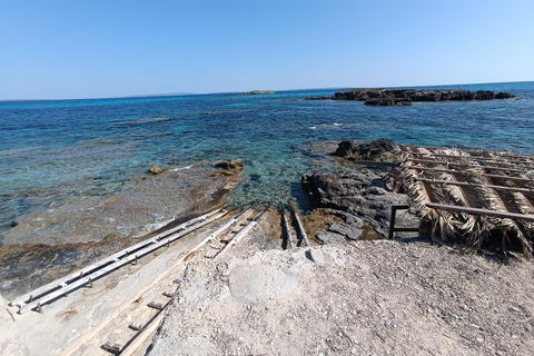 Ibiza: Tour of the Best Coves or Formentera by Private Boat with Aperitif