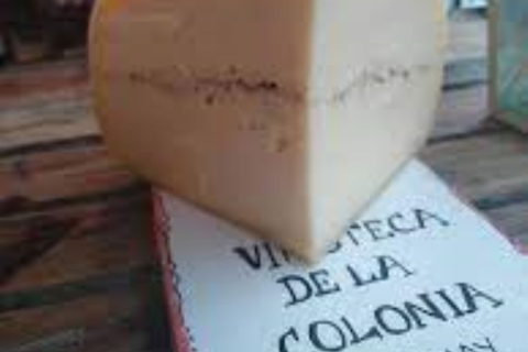 Express-Verkostung von uruguayischen Weinen und KäseUruguayische Wein- und Käseverkostung - 3 Gläser