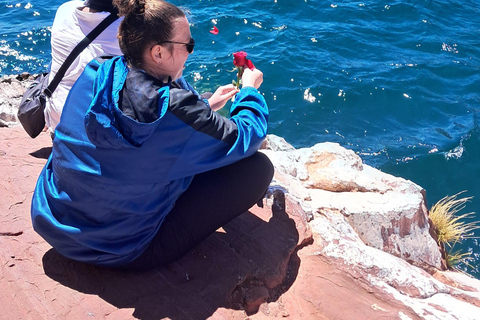 From La Paz: Private Lake Titicaca Day Trip - Tiquina