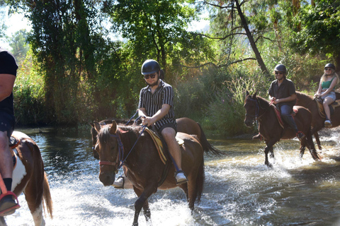 Marmaris: Horseback Riding Safari with Hotel Transfer Private Icmeler Horse Safari