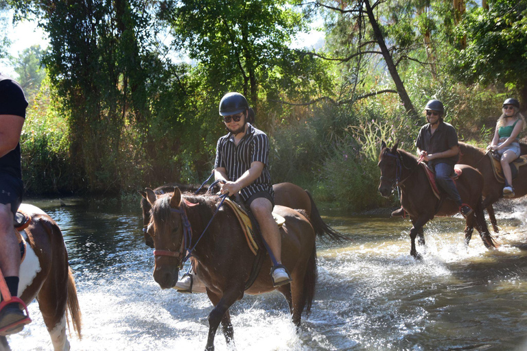 Marmaris: Horseback Riding Safari with Hotel Transfer Private Icmeler Horse Safari
