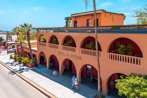 From Los Cabos: La Paz, Balandra & Todos Santos Excursion