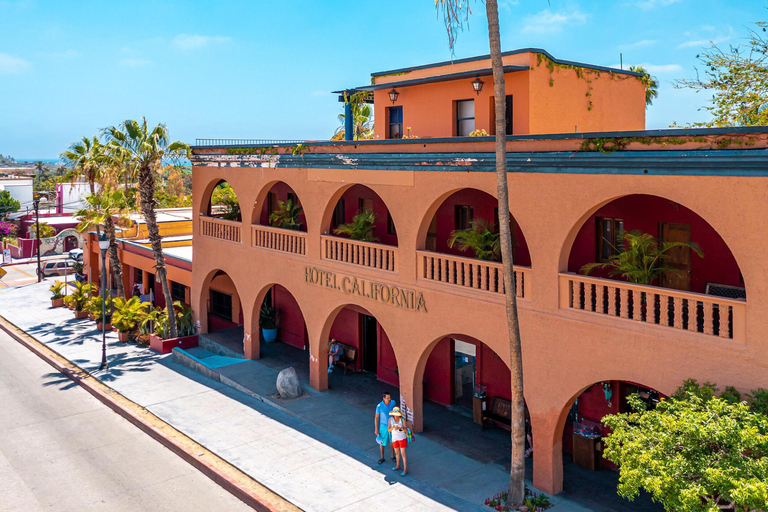 From Los Cabos: La Paz, Balandra & Todos Santos Excursion