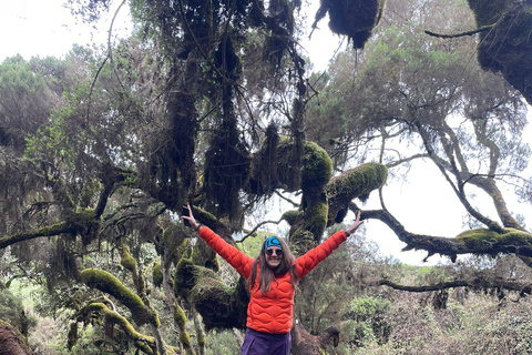 From Addis Ababa: 4-Day Bale Mountains Trekking Tour