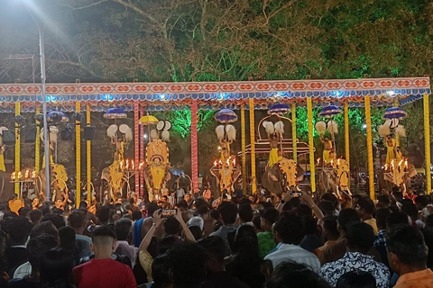 Kochi: Wycieczka po mieście