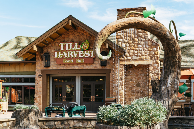 Pigeon Forge: biglietto d'ingresso al parco tematico DollywoodBiglietto d'ingresso per 1 giorno al parco a tema Dollywood