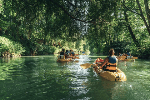 From Paris: Full Day Canoeing Adventure Crécy-la-Chapelle
