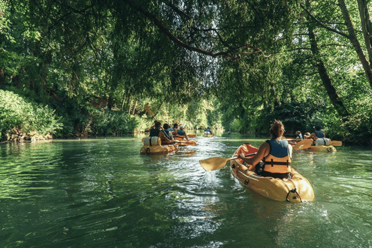 From Paris: Full Day Canoeing Adventure Crécy-la-Chapelle