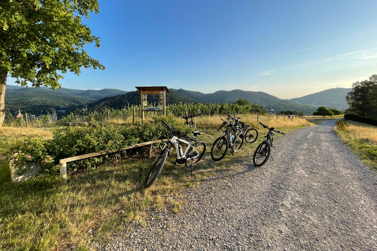 Baden-Baden: Private e-Mountainbike Tour with local Guide