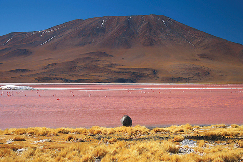 Desde Uyuni | Laguna de Colores y el Salar de Uyuni | Bolivia