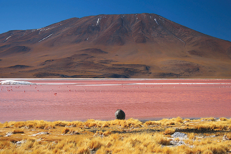 Desde Uyuni | Laguna de Colores y el Salar de Uyuni | Bolivia