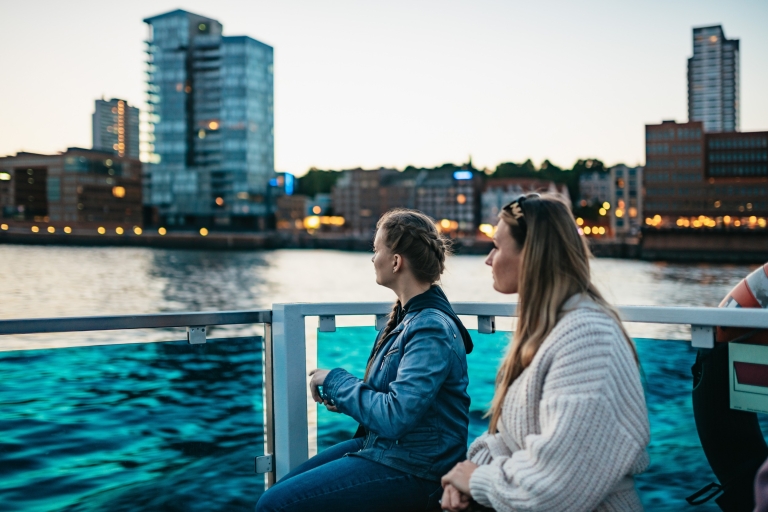 Hambourg : 1,5 heure de croisière dans le Grand Harbor pour admirer les lumières du soir