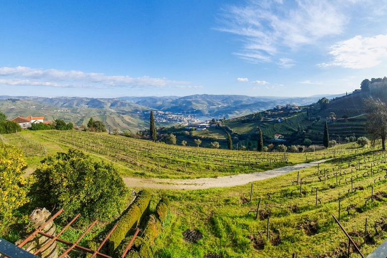 Porto: Douro Valley Tour with Wine Tasting, Lunch & Cruise Shared Tour