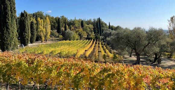 From Nice: Full-Day Côtes de Provence Wine Tour & Tastings
