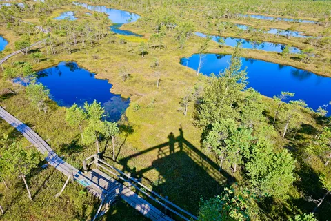 Ķemeri Great Bog With Optional Sunrise & Jūrmala Visit