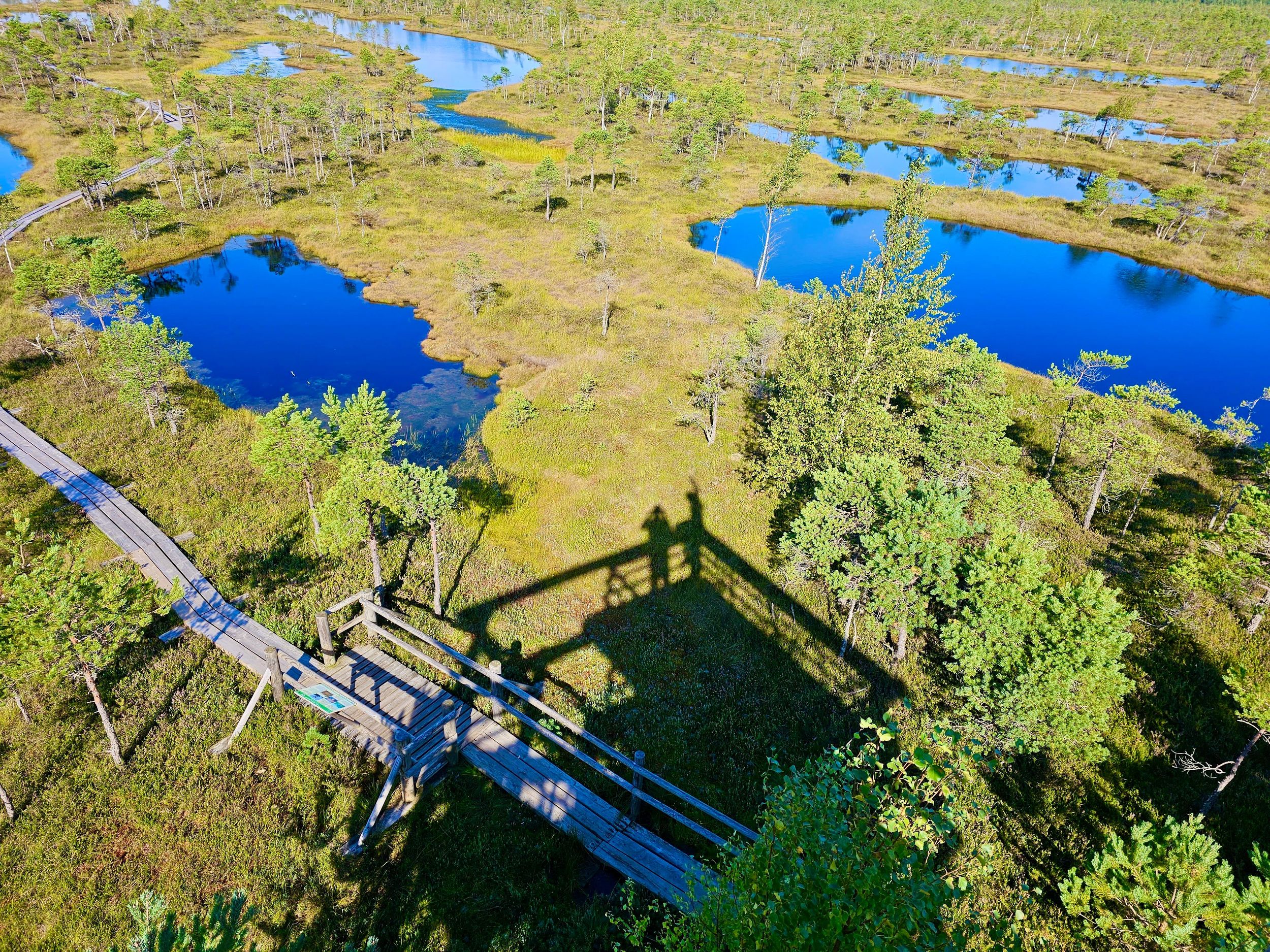 Ķemeri Great Bog mit optionalem Sonnenaufgang & Jūrmala-Besuch