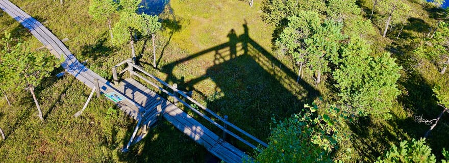 Grande tourbière de Ķemeri avec visite facultative du lever du soleil et de Jūrmala