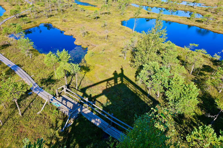 Ķemeri Great Bog With Optional Sunrise & Jūrmala Visit Ķemeri Bog Shared Small Group Tour
