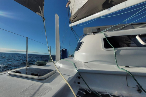 ¡Un viaje en barco diferente por el increíble Río!