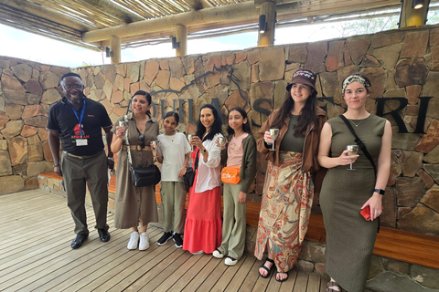 Cape Town: Cruise Passengers sunset Safari & Wine Tour