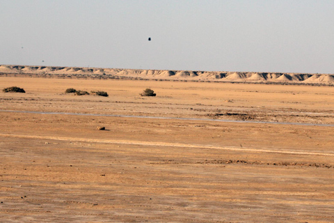 Le Grand Tour de Tunisie : immersion locale entre mer et désert