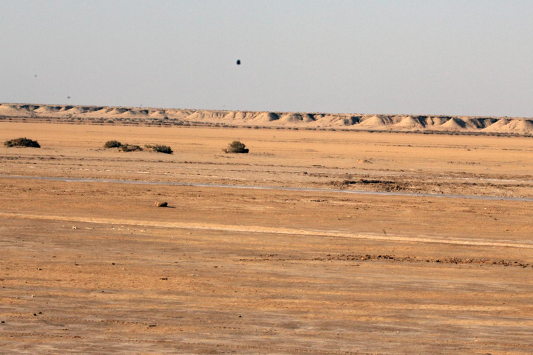 Le Grand Tour de Tunisie : immersion locale entre mer et désert
