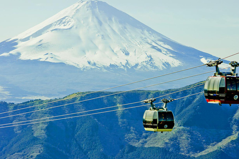 Tokyo: Mt. Fuji Tour, Hakone Ropeway, Owakudani, Lake Ashi Mt. Fuji Day Tour--Departure From Tokyo Station 8:00am
