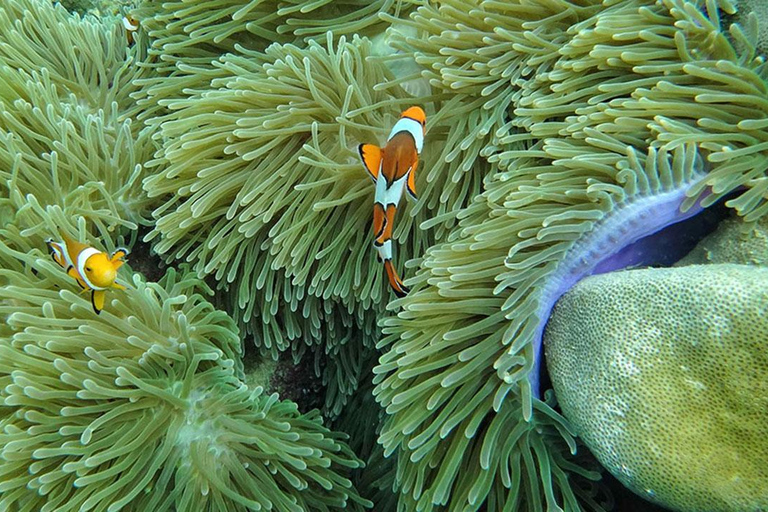 Ko Lanta: Smaragdhöhle und 4 Inseln Tour mit dem Longtailboot