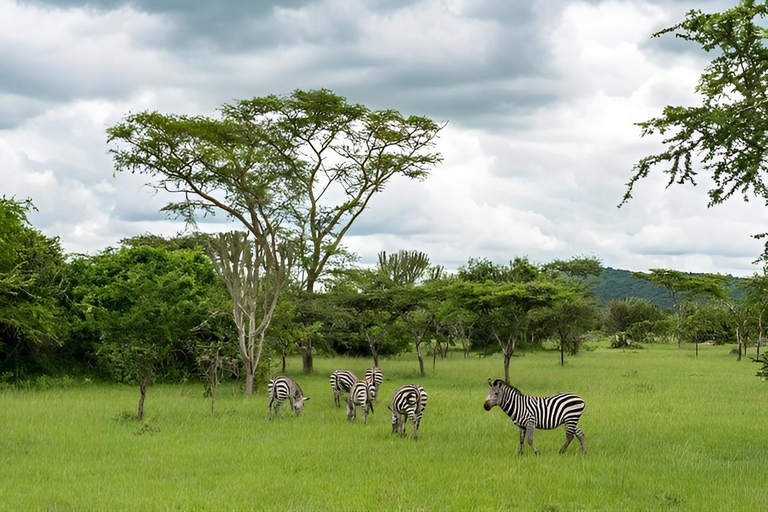 Uganda: 2-Day Lake Mburo National Park Safari