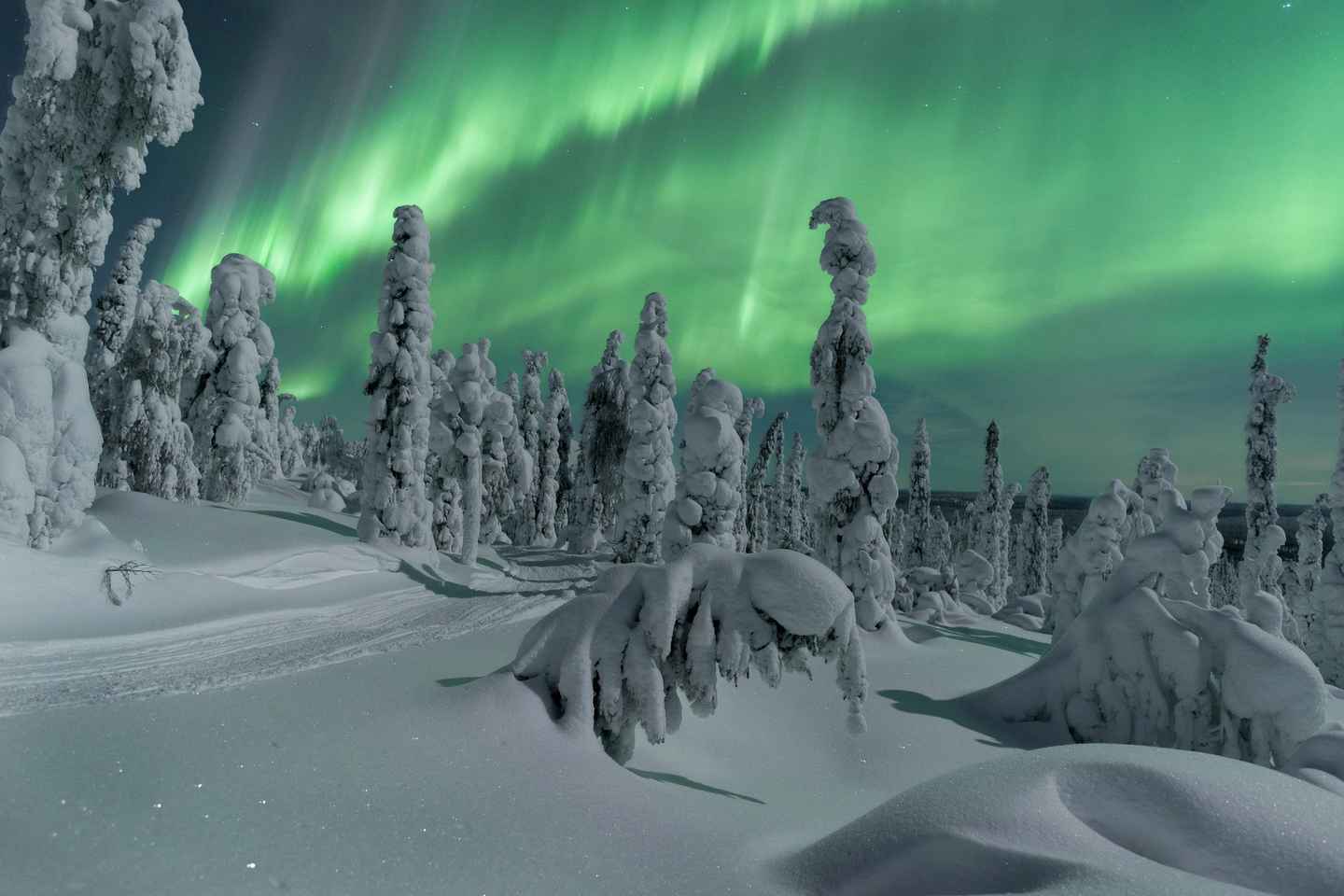 Northern Lights Hunting with Aurora Workshop