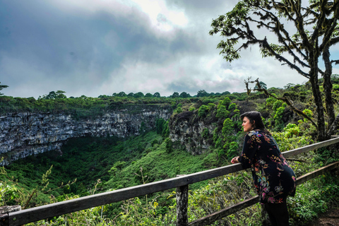 Galápagos Explorer: Santa Cruz & Isabela 6-Day Adventure