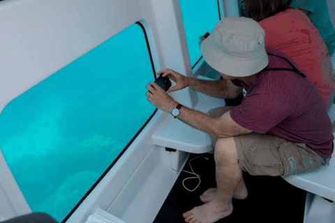 Zanzibar: tour in semisommergibile con vista subacqueaZanzibar: tour in semi-sottomarino con vista subacquea