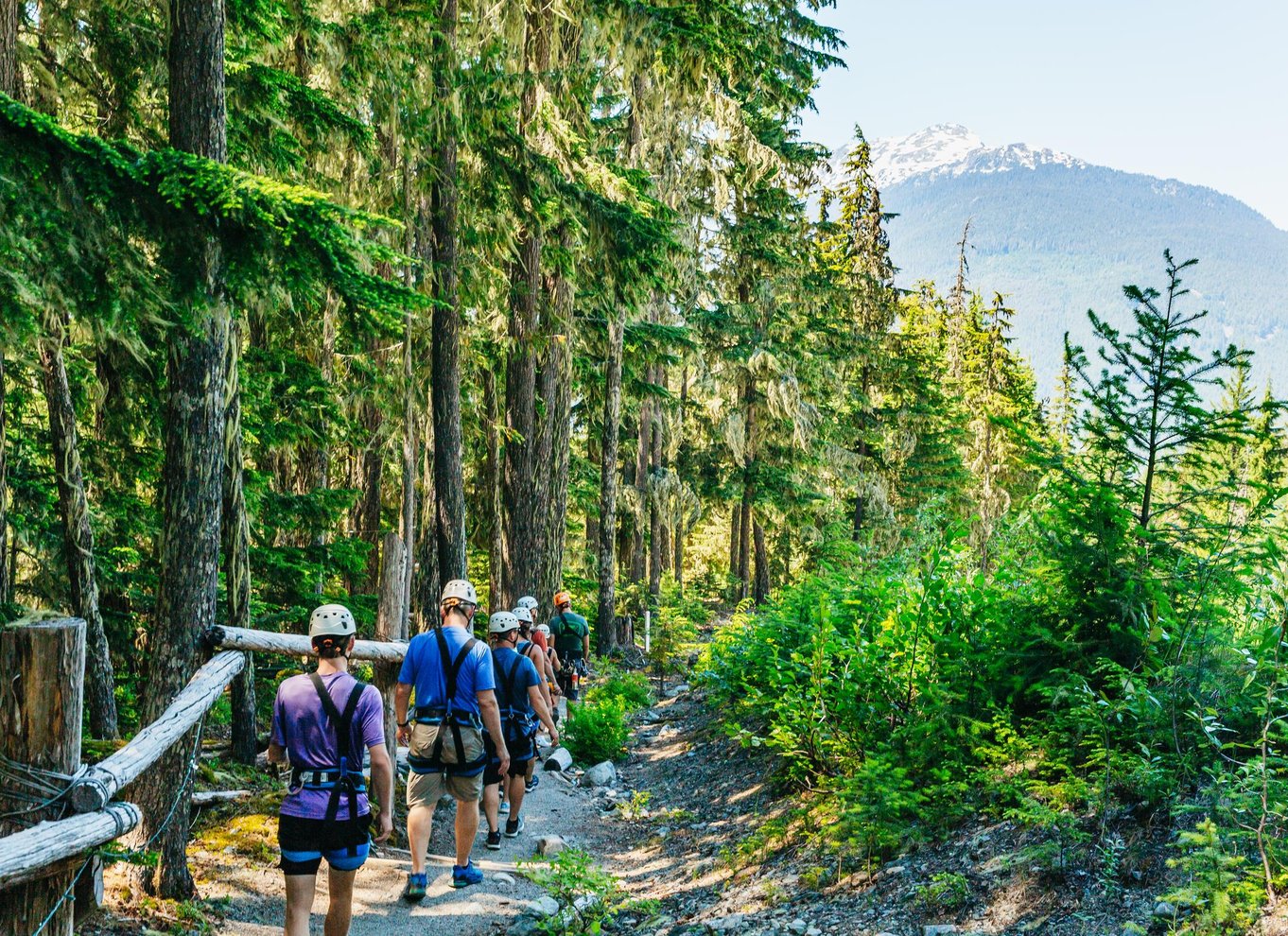 Whistler: Ziplining-oplevelse