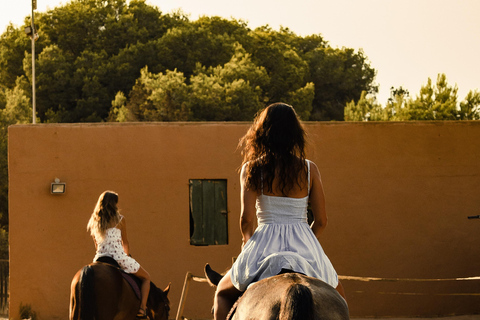 Saint Lucia: Private Horseback Ride + Picnic