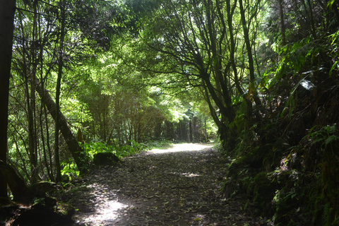 Sao Miguel Hike to Janela do Inferno and Lagoa do Fogo