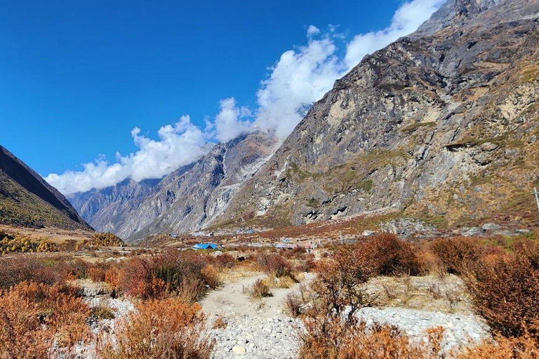 Journey Through Langtang: A 6-Day Trek with Meals