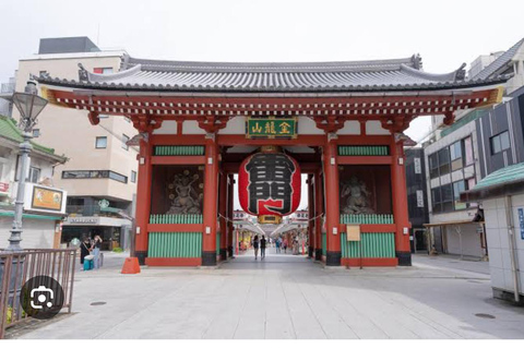 Tokyo One Day Customizable Trip With English speaking Driver