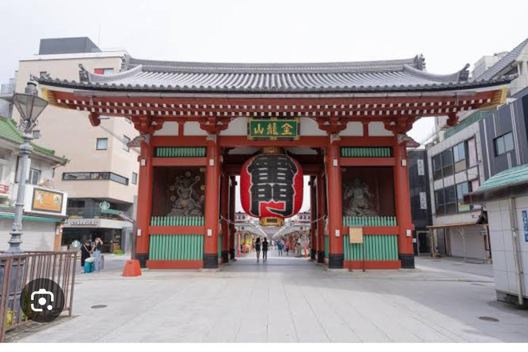 Tokyo One Day Customizable Trip With English speaking Driver