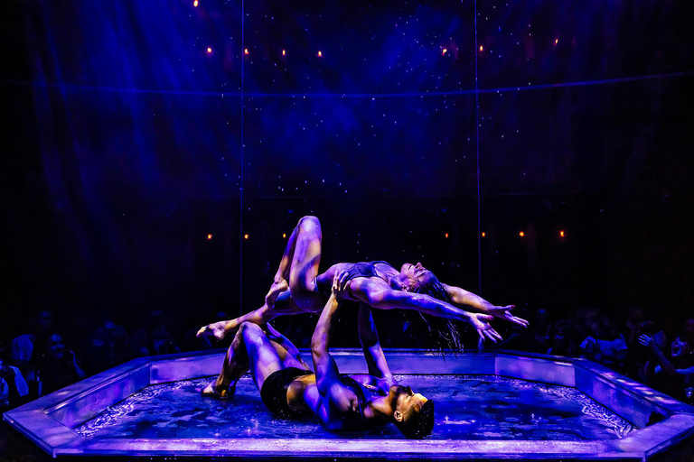 London: Ticket to Magic Mike Live! London West End: Magic Mike Live!