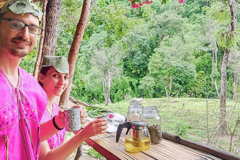 Chiang Mai: Elephant Sanctuary & Watch Sunrise at Temple