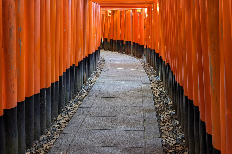 Kyoto: Upptäck varje del av den ikoniska helgedomen Fushimi InariPrivat tur