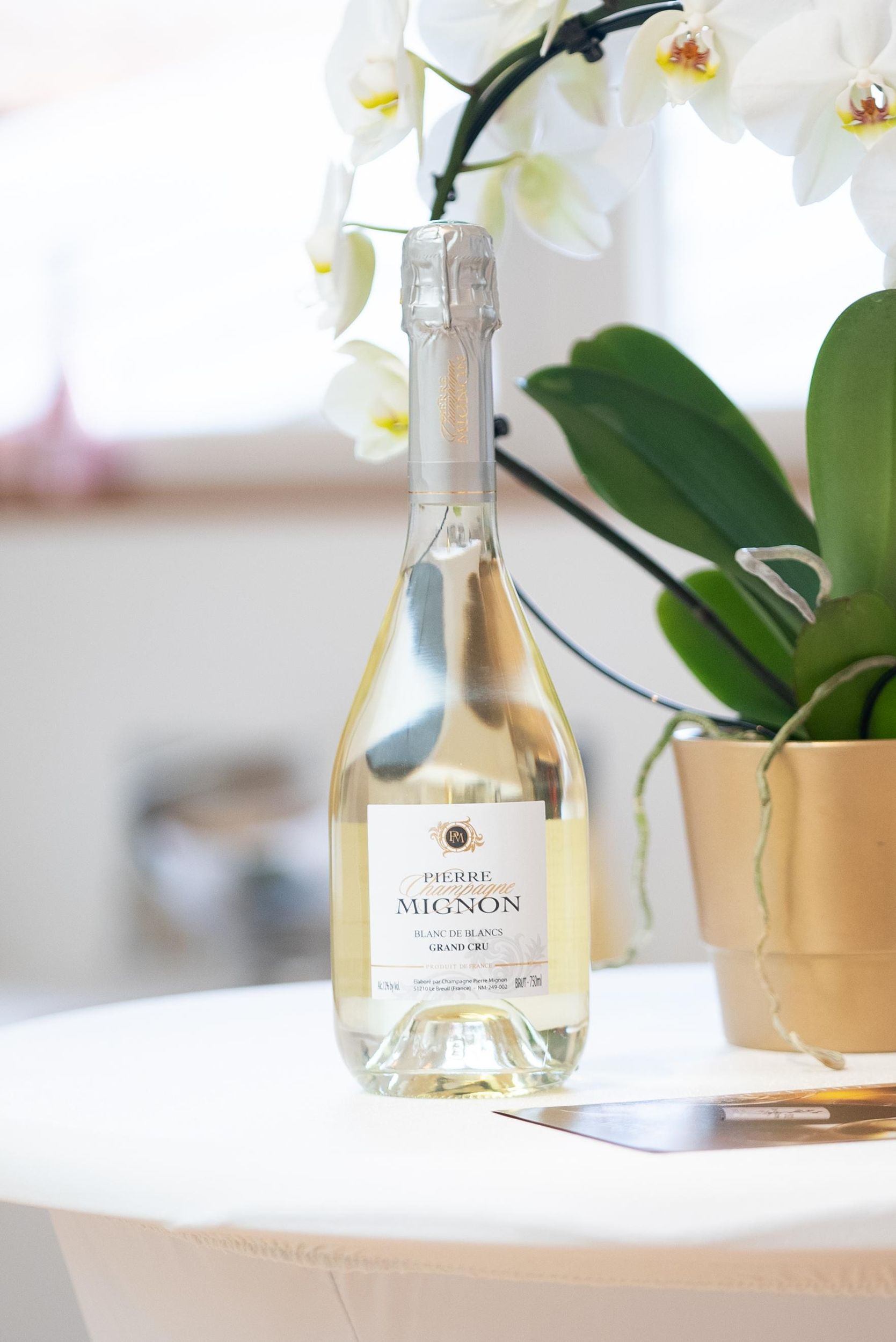 Verkostungserlebnis in Épernay: Trilogie Blanc de Blancs (3 Gläser)