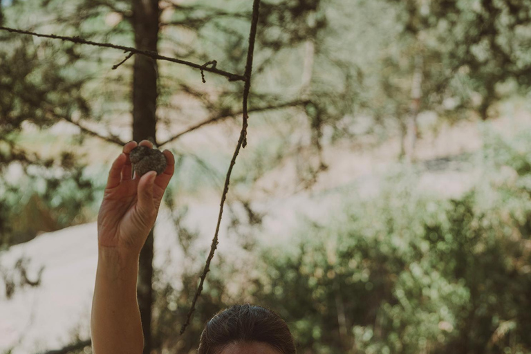 Tuscany: Volterra Truffle Hunting