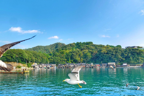 Osaka/Kyoto: Amanohashidate & Ine Funaya & Ine Bay Day Tour Excludes Cable Car & Cruise: 8:00AM Osaka