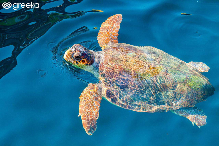 Zakynthos: Laganas, Keri, & Marathonisi Turtle Spotting Tour