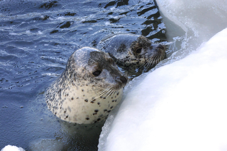 Icebreaker GARINKO GO III Cruise Explore Ice and Snow Tour With Luxurious Seafood Rice Bowl Lunch