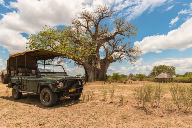 From Zanzibar: 1-Day Selous Safari with Flight & Lunch Selous Safari from Zanzibar – Without Transfer